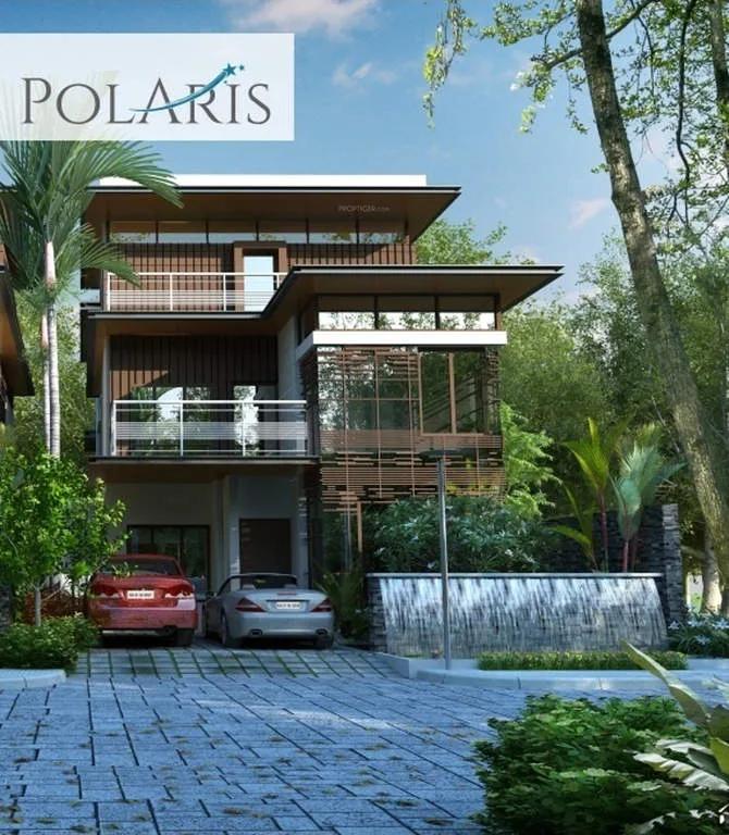 Citrus Polaris