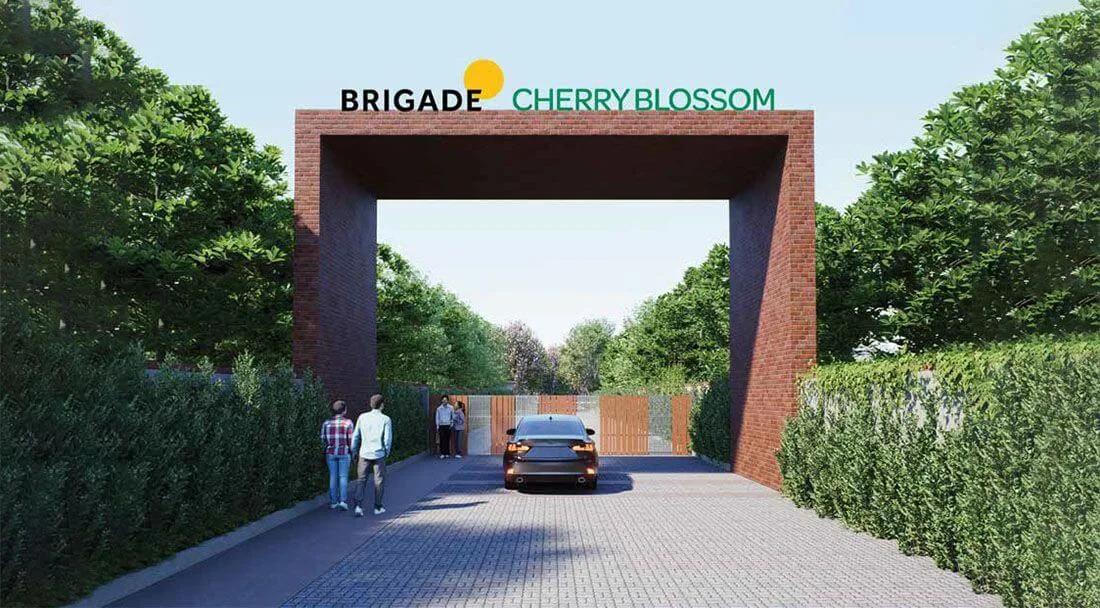 Brigade Cherry Blossom Plots