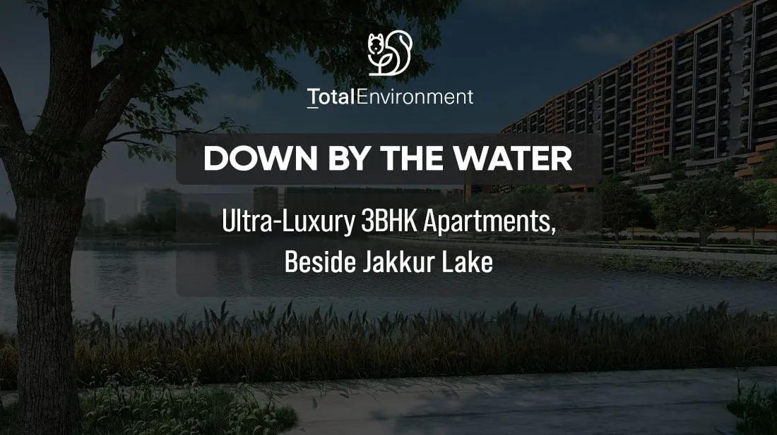 Total Environment Down by the Water