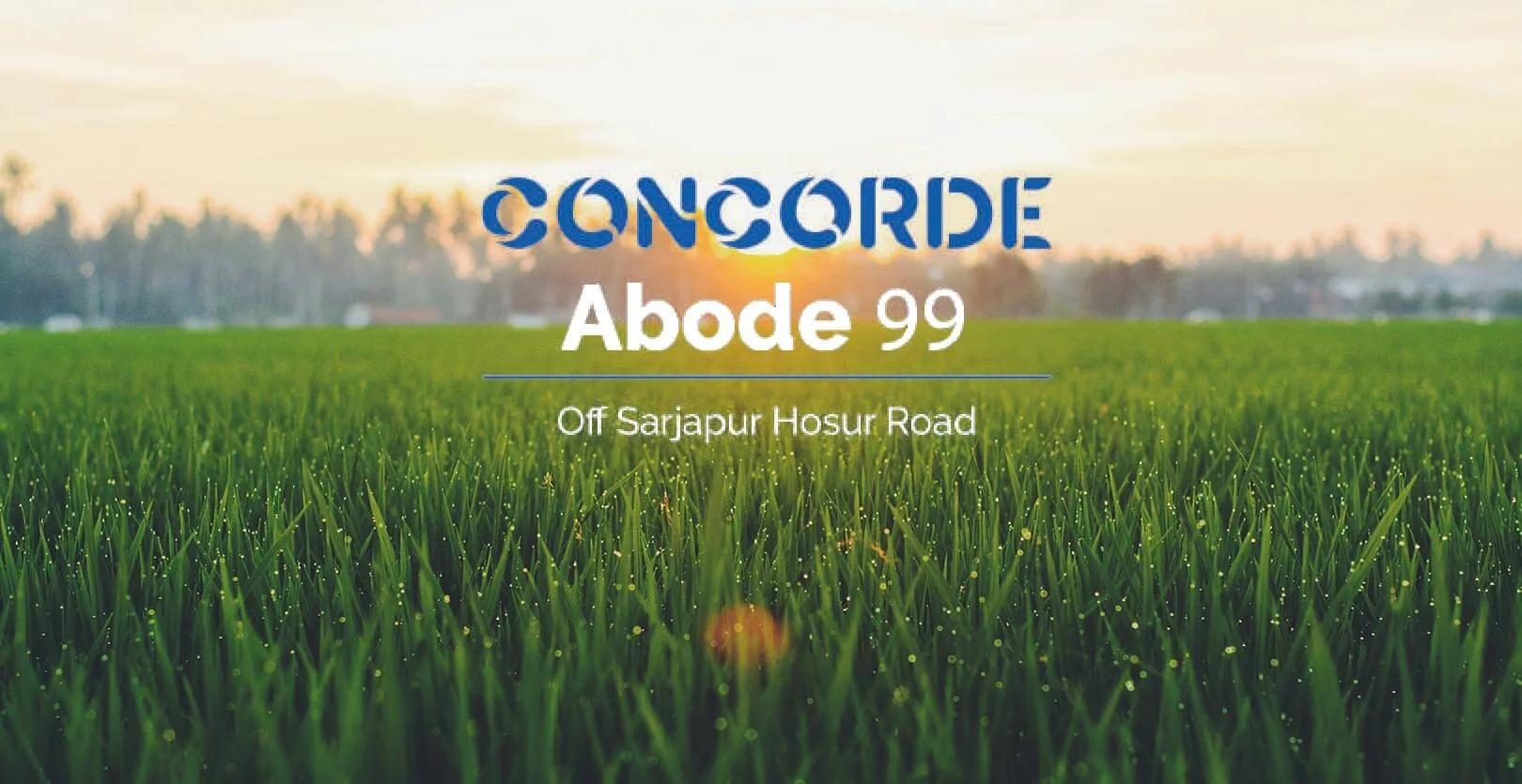 Concorde Abode 99