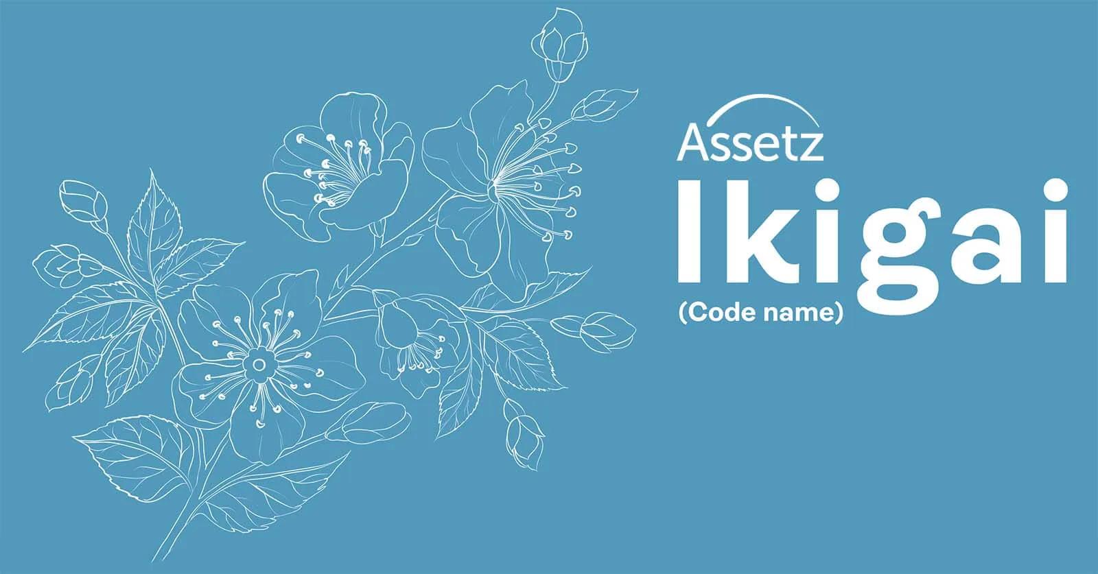 Assetz Ikigai Plots