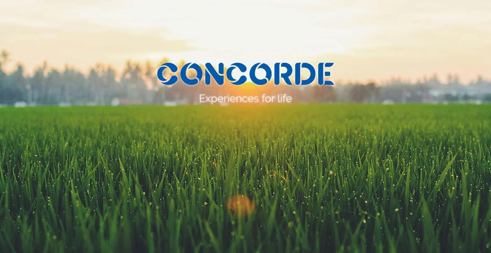Concorde Elements of Earth Plots