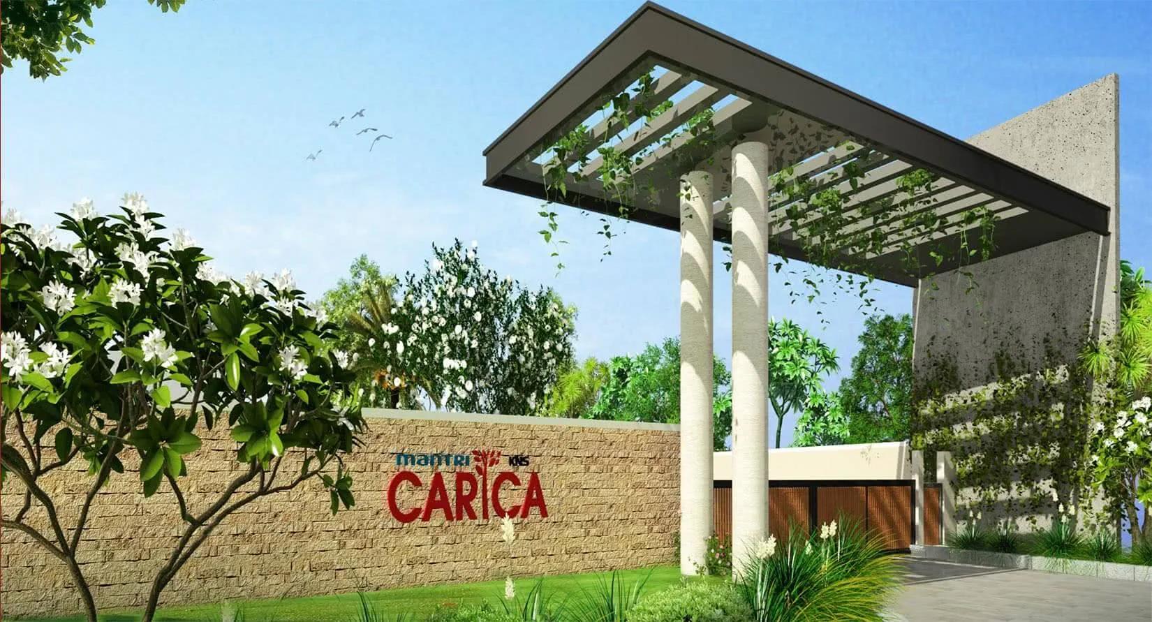 Mantri KNS Carica