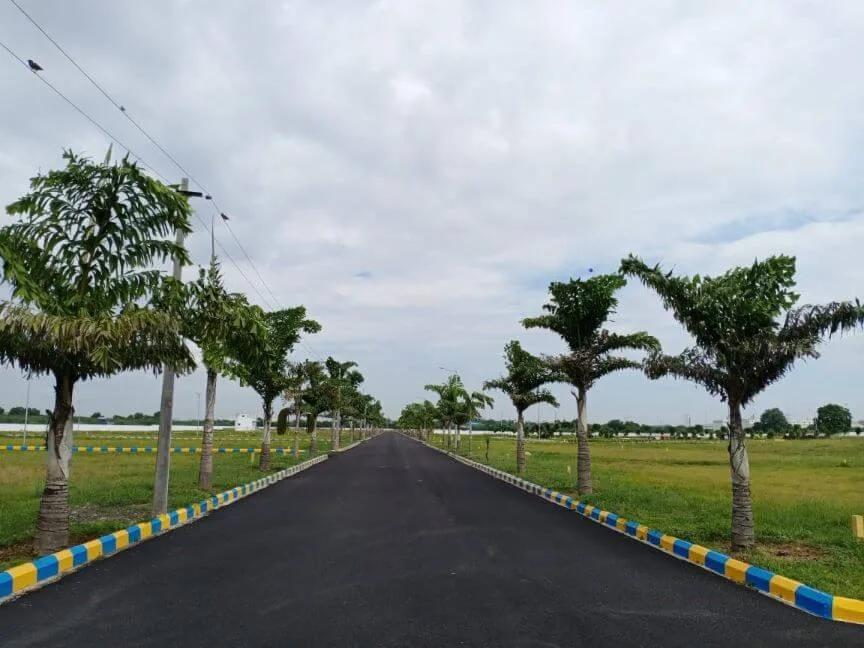 Alliance Villa Belvedere Plots