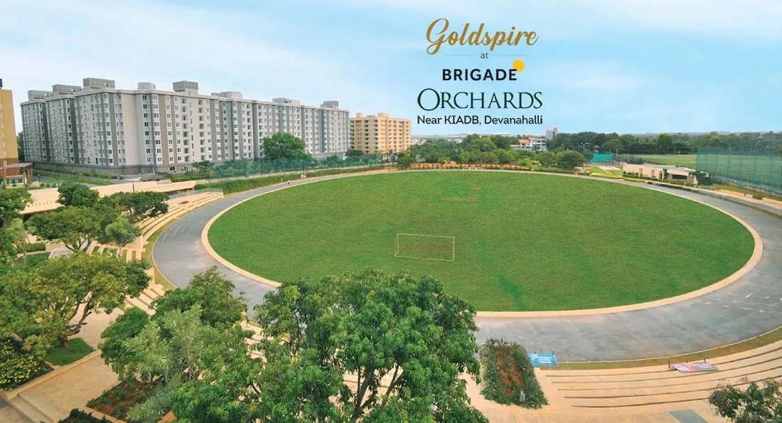Brigade Orchards Goldspire