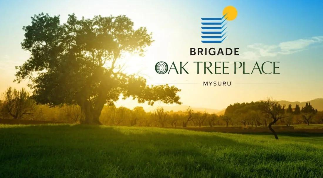 Brigade Oak Tree Place Plots
