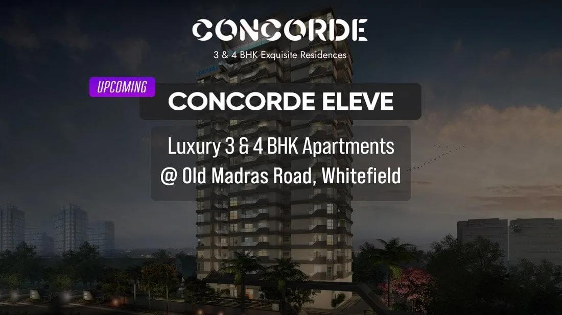 Concorde Eleve