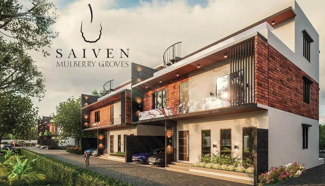 Saiven Mulberry Groves