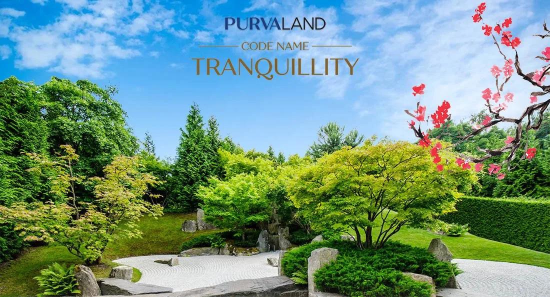 Purva Plots