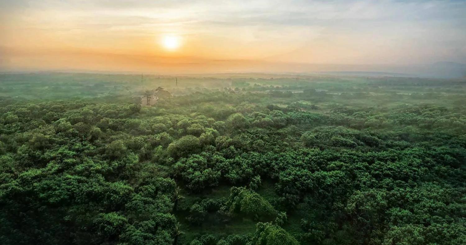 Godrej Ananda Phase 2