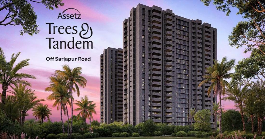 Assetz Trees and Tandem