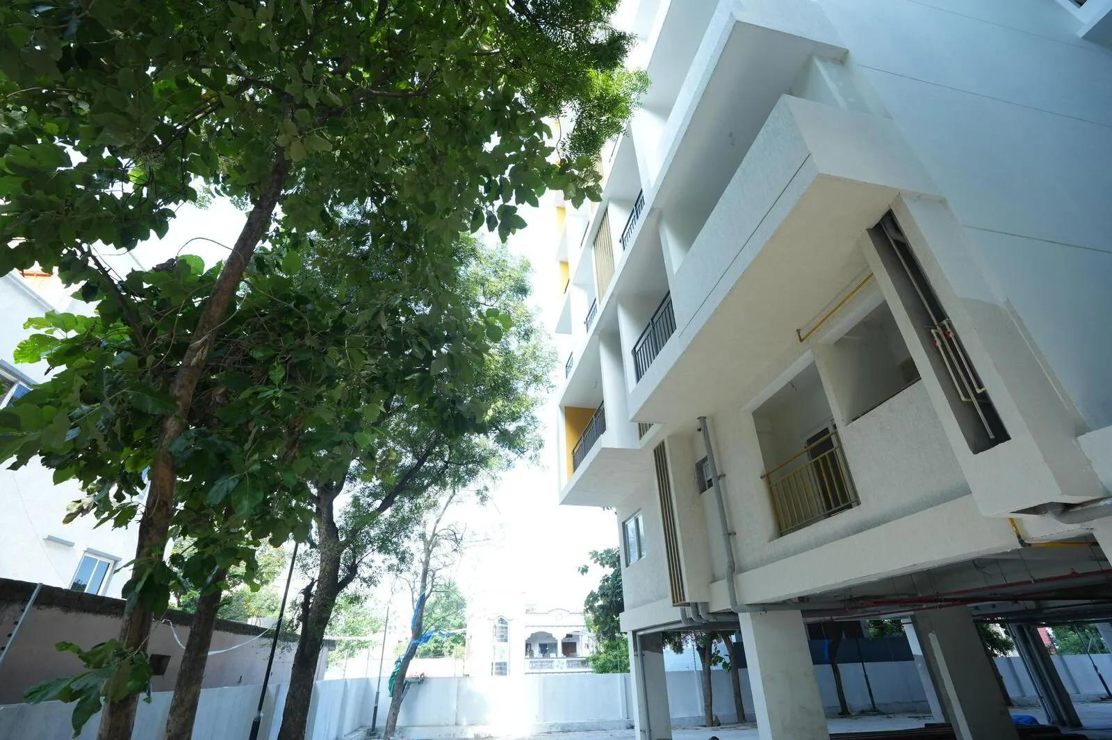 Manbhum Hometree